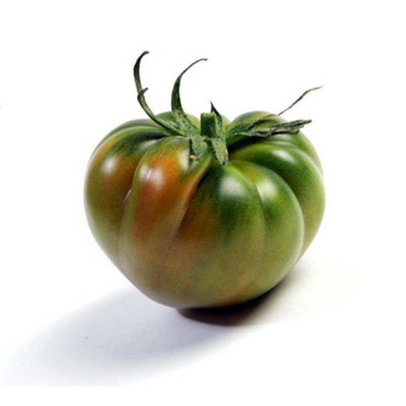 Raf Tomaten Samen | Seeds Shop Store