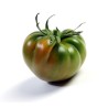 Raf Tomaten Samen | Seeds Shop Store