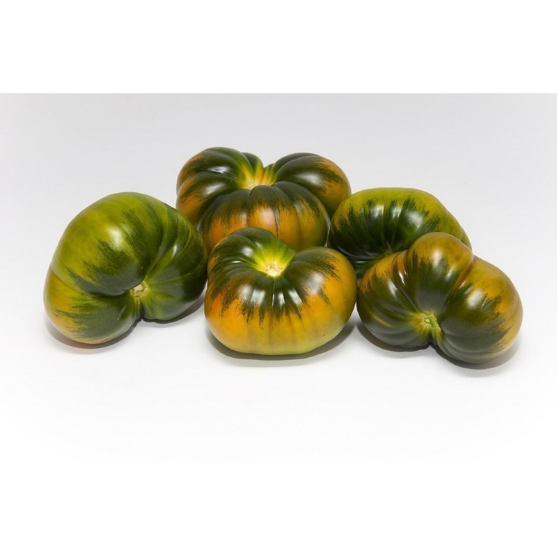 Raf Tomaten Samen | Seeds Shop Store