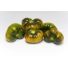 Raf Tomaten Samen | Seeds Shop Store