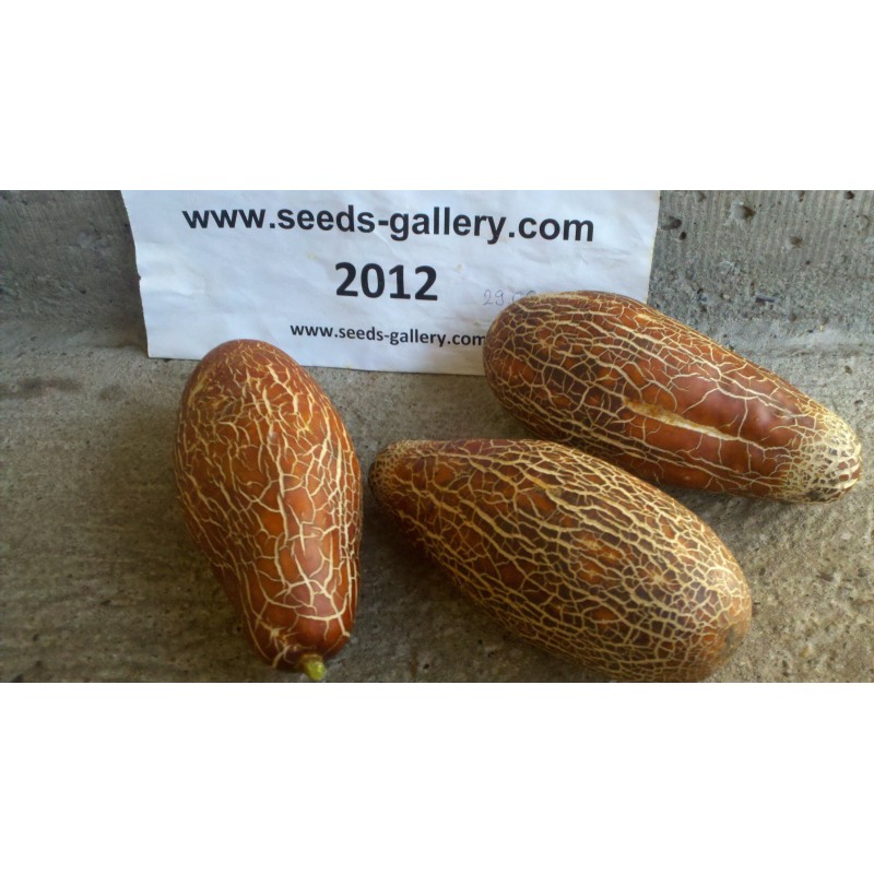 Sikkim Krastavac Seme | Seeds Shop Store