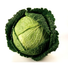 Savoy Cabbage Seeds Iron Head - 234.57915