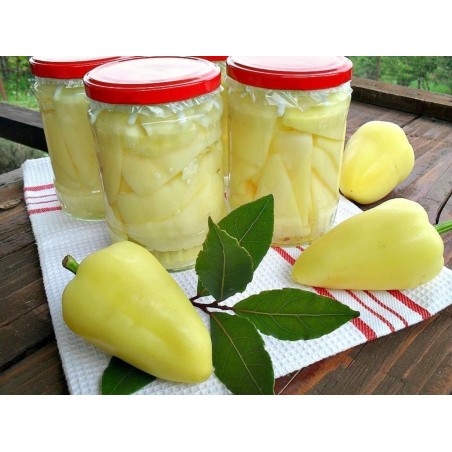 Somborka paprika Frön | Seeds Shop Store