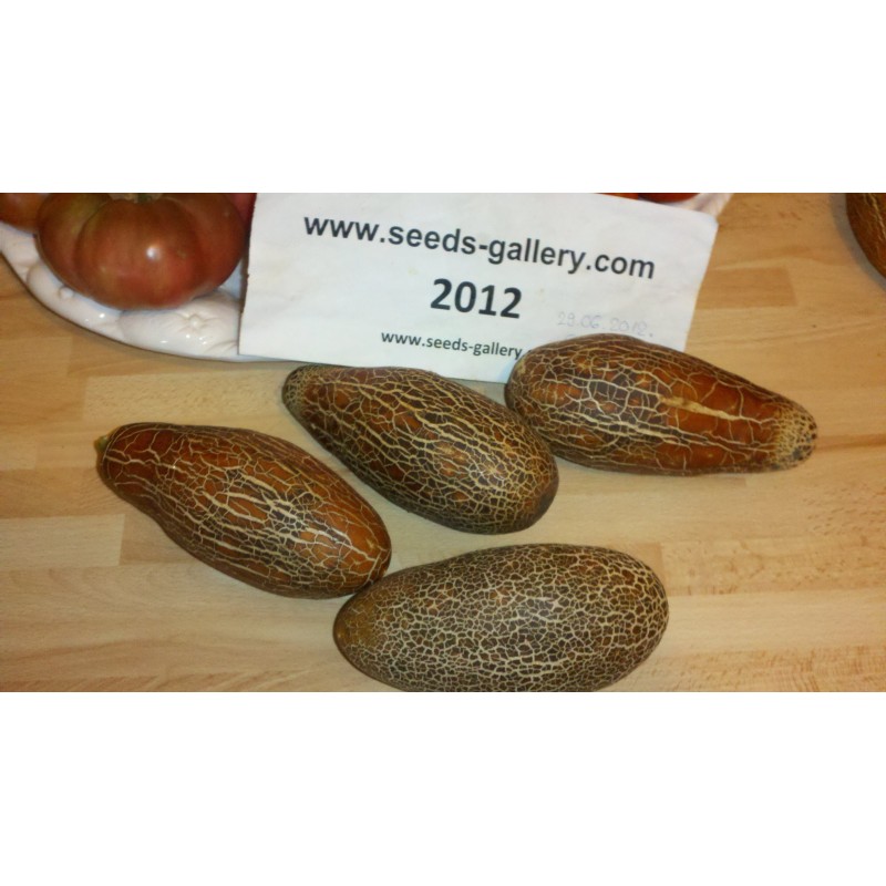 Sikkim Krastavac Seme | Seeds Shop Store