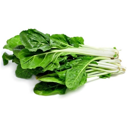 White Silver Mangold frön | Seeds Shop Store