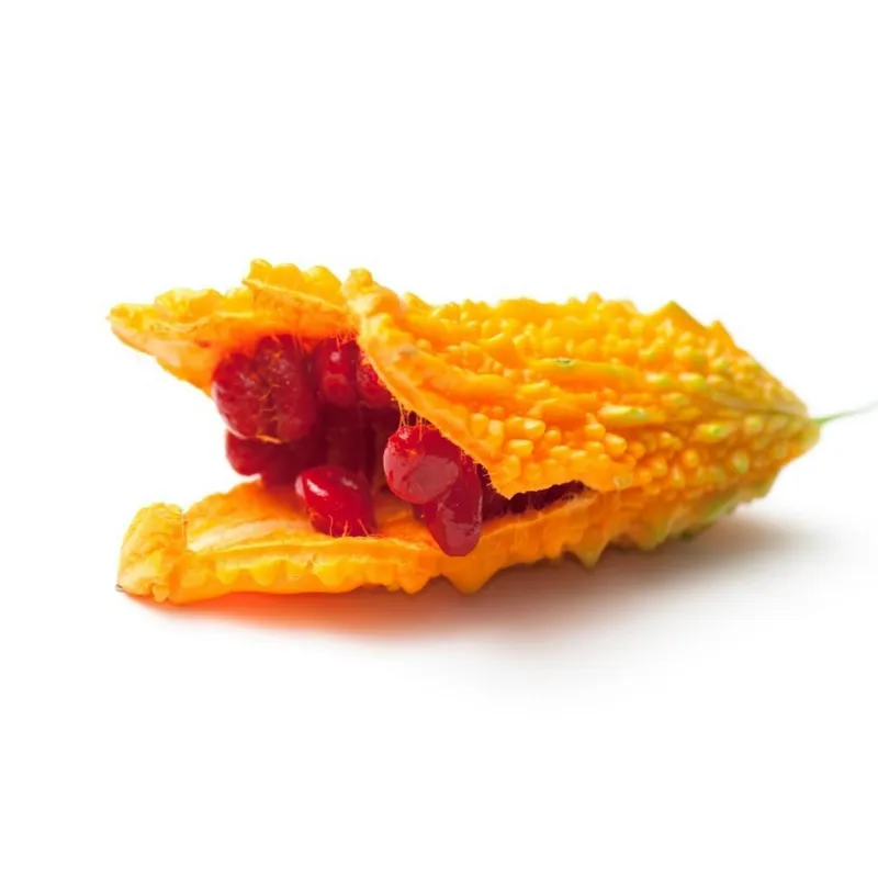 Keserűdinnye magok (Momordica charantia) | Seeds Shop Store