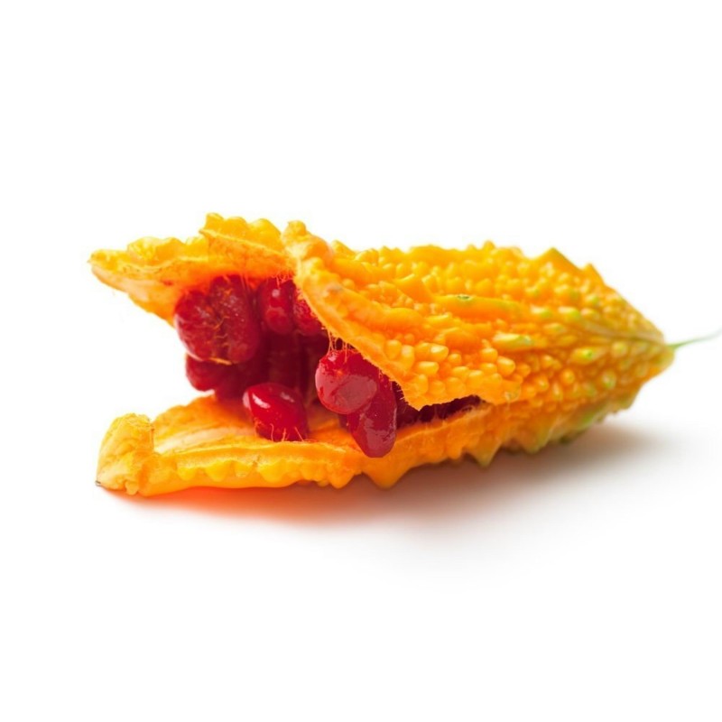 Gorka Dinja - Karfela Seme (Momordica charantia) | Seeds Shop Store