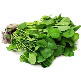 Semi di Crescione dacqua (Nasturtium officinale) - 287.359459
