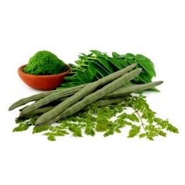 Mirakelträdet moringa Frön - 228.714671