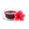 Seemillas Rosa de Jamaica (Hibiscus sabdariffa) | Seeds Shop Store