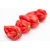 Habanero Devil's Tongue Red Seeds | Seeds Shop Store