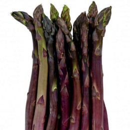 Semi di Asparagus ARGENTEUIL - 1.665