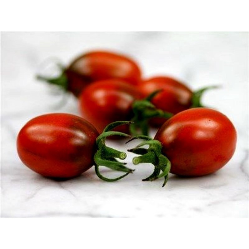 Sementes de tomate Ameixa preta - Black Plum | Seeds Shop Store
