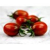 Sementes de tomate Ameixa preta - Black Plum | Seeds Shop Store