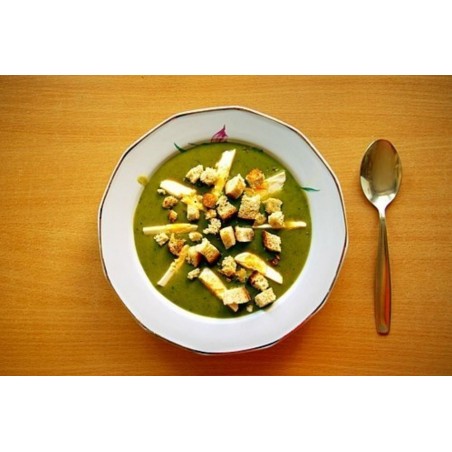 Sementes de AZEDA - Erva (Rumex acetosa) | Seeds Shop Store