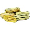 Zucchini Delicata Bush Kürbis Samen | Seeds Shop Store