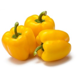 Quadrato Dasti Giallo Sweet Pepper Seeds - 1.485