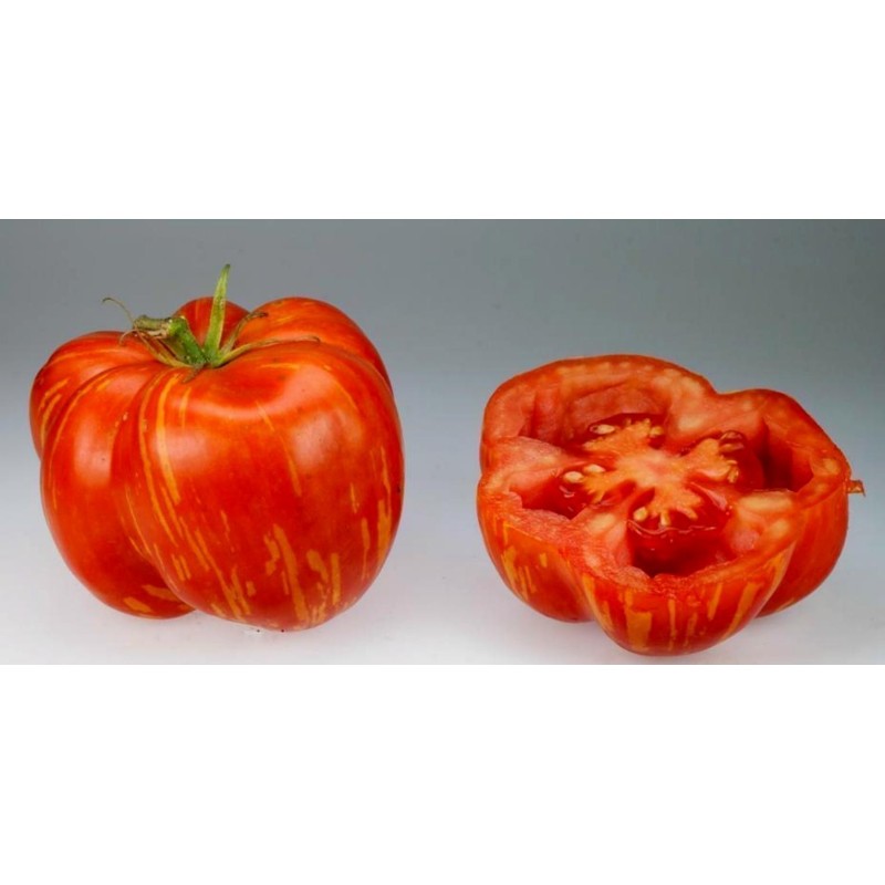 Striped Stuffer Tomatensamen | Seeds Shop Store