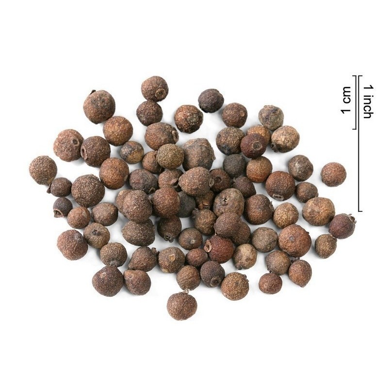 Piment oder Nelkenpfeffer Samen (Pimenta dioica) | Seeds Shop Store