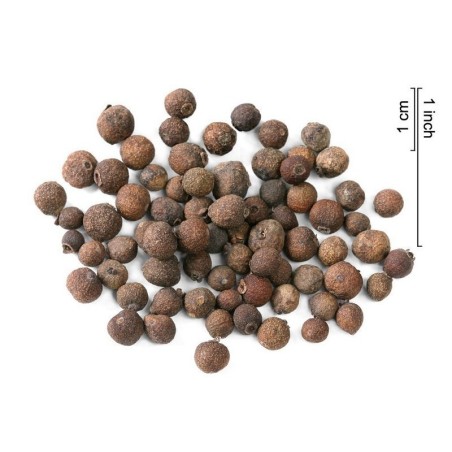 Piment oder Nelkenpfeffer Samen (Pimenta dioica) | Seeds Shop Store