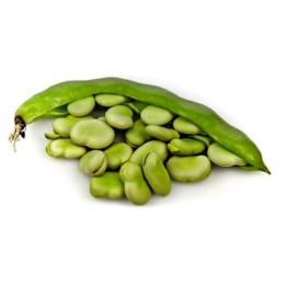 Fava κουκια σποροι (Vicia faba) - 299.088416
