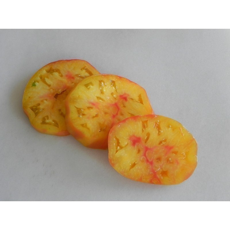 Tomatensamen Old German | Seeds Shop Store