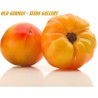 Tomatensamen Old German | Seeds Shop Store