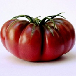 Purple Calabash, Aztec heirloom tomato seeds - 1.485