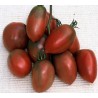 Tomaten Samen Lila Russisch | Seeds Shop Store