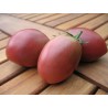 Tomaten Samen Lila Russisch | Seeds Shop Store