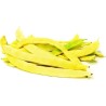 Bush Bean Seeds SUPERNANO GIALLO | Seeds Shop Store