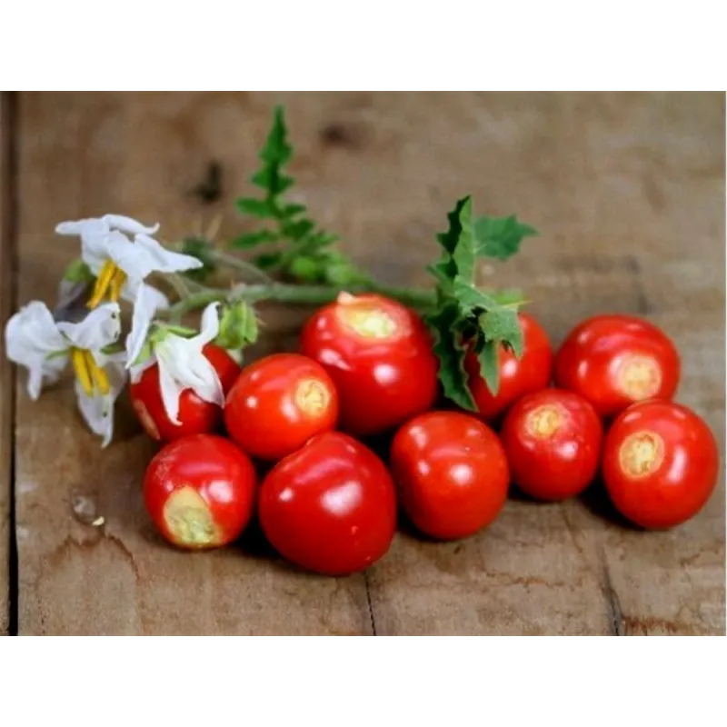 Litchi Tomato 5000 Seeds - Morelle de Balbis | Seeds Shop Store