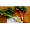 Swiss Chard Rainbow Seeds | Seeds Shop Store