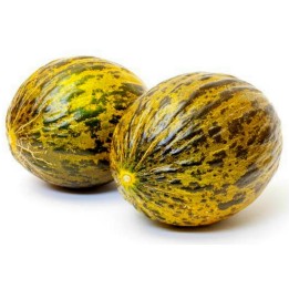 Semi di melone Turchia DALAMAN - 1.935