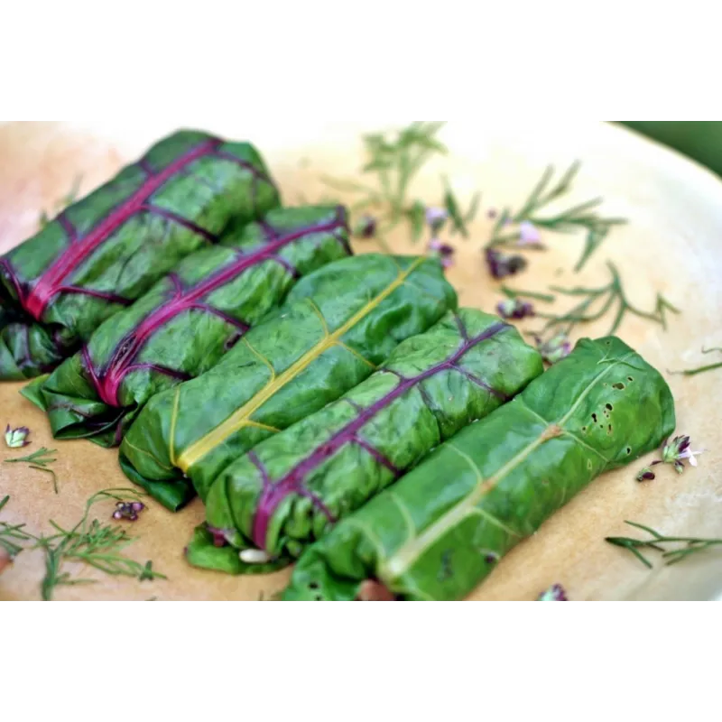 Swiss Chard Rainbow Seeds | Seeds Shop Store