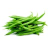 French Beans Seeds DUBBELE WITTE | Seeds Shop Store