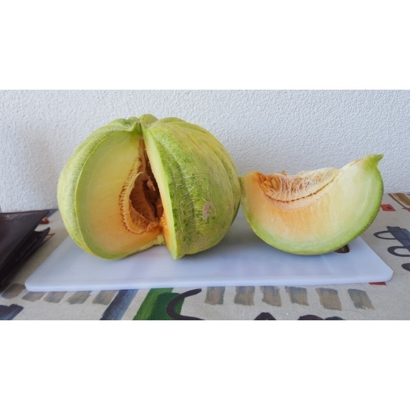Semillas de Grecia Melón PLÁTANO VERDE | Seeds Shop Store