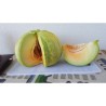 Semillas de Grecia Melón PLÁTANO VERDE | Seeds Shop Store