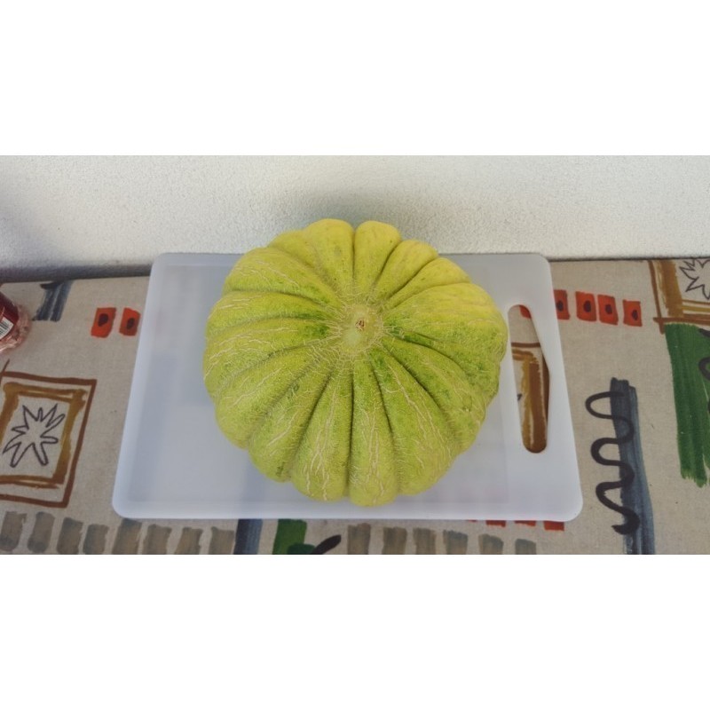 Semillas de Grecia Melón PLÁTANO VERDE | Seeds Shop Store