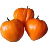 German Orange Strawberry Tomato Seeds | Seeds Shop Store