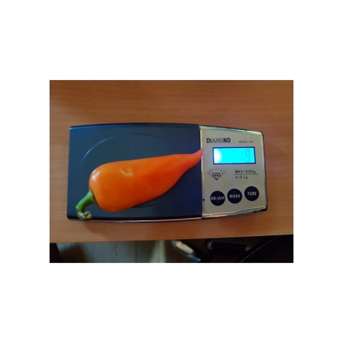 Apelsin Pyramid Chili Fröer (Capsicum annuum) - 1.755