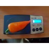 Apelsin Pyramid Chili Fröer (Capsicum annuum) - 1.755