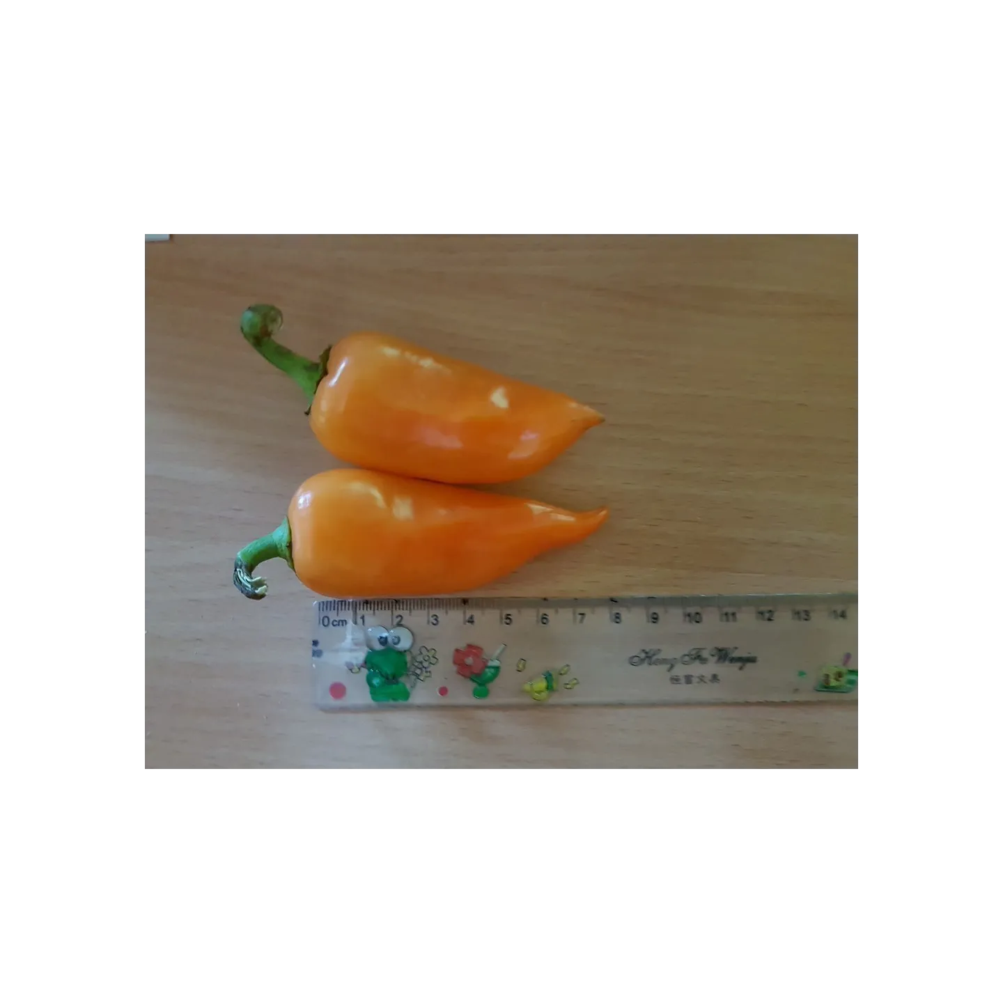 Apelsin Pyramid Chili Fröer (Capsicum annuum) - 1.755