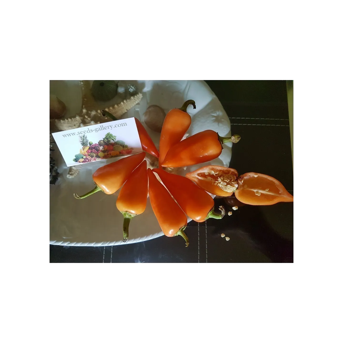 Apelsin Pyramid Chili Fröer (Capsicum annuum) - 1.755