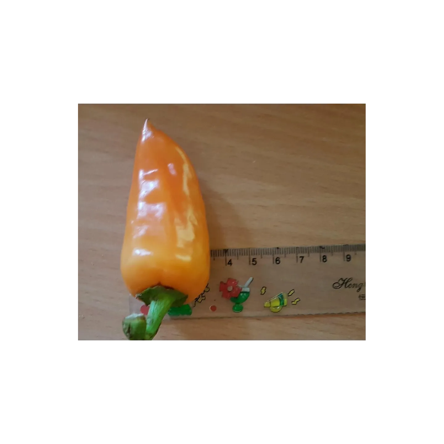 Apelsin Pyramid Chili Fröer (Capsicum annuum) - 1.755