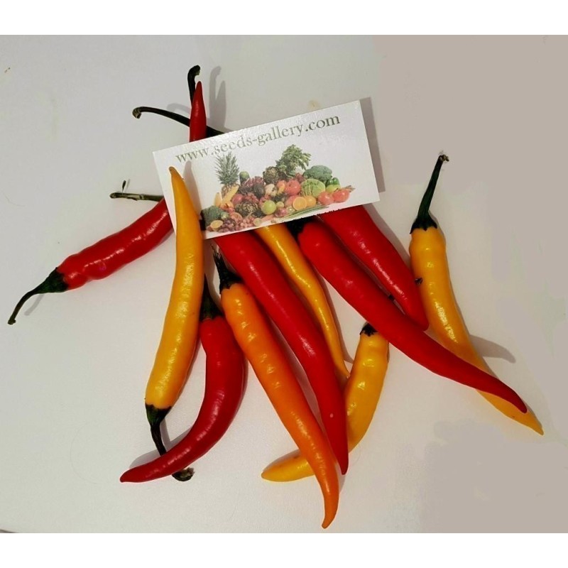 Sementes de pimenta FIREFLAME | Seeds Shop Store