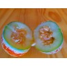 Sementes de Rare KAJARI Melão Doce | Seeds Shop Store