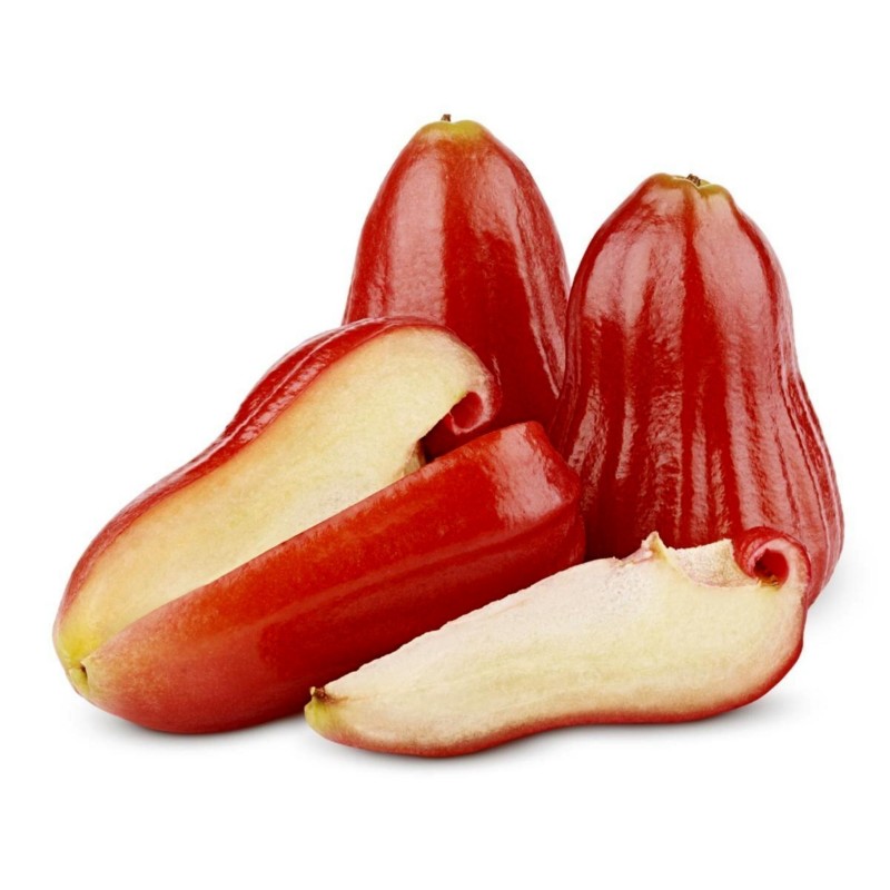 Java Apple Seeds, Rose Apple, Wax Jambu | Seeds Shop Store