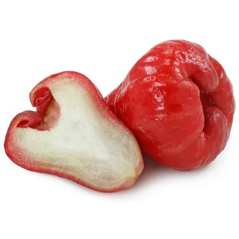 Java Apple Seeds, Rose Apple, Wax Jambu | Seeds Shop Store