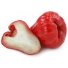 Java Apple Seeds, Rose Apple, Wax Jambu | Seeds Shop Store